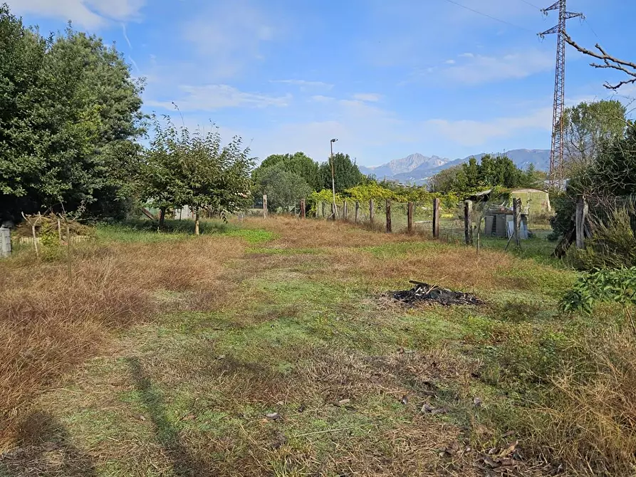 Immagine 1 di Terreno agricolo in vendita  a Viareggio