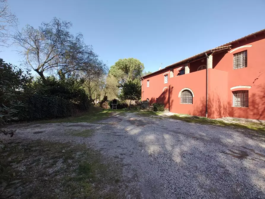 Immagine 31 di Appartamento in vendita  a Crespina Lorenzana