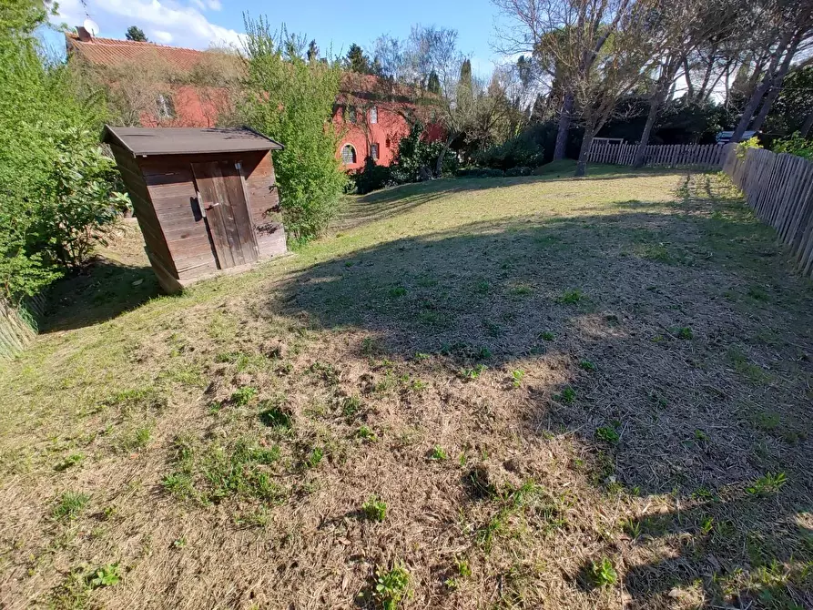 Immagine 27 di Appartamento in vendita  a Crespina Lorenzana