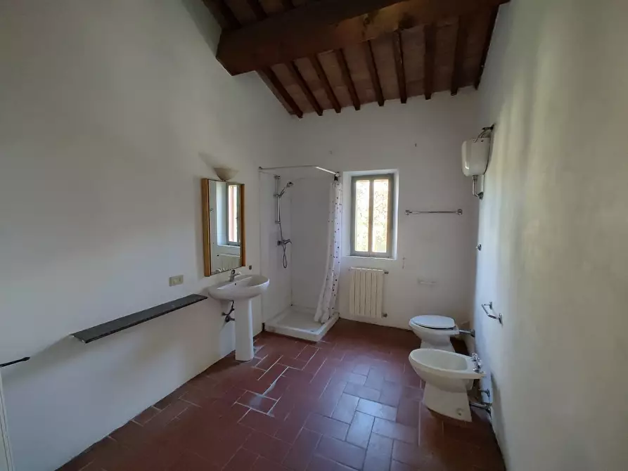 Immagine 16 di Appartamento in vendita  a Crespina Lorenzana