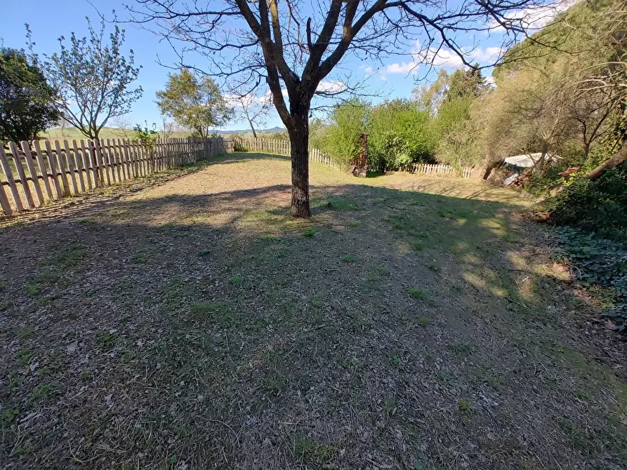 Immagine 28 di Appartamento in vendita  a Crespina Lorenzana