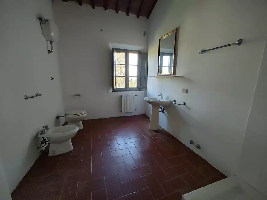 Immagine 19 di Appartamento in vendita  a Crespina Lorenzana