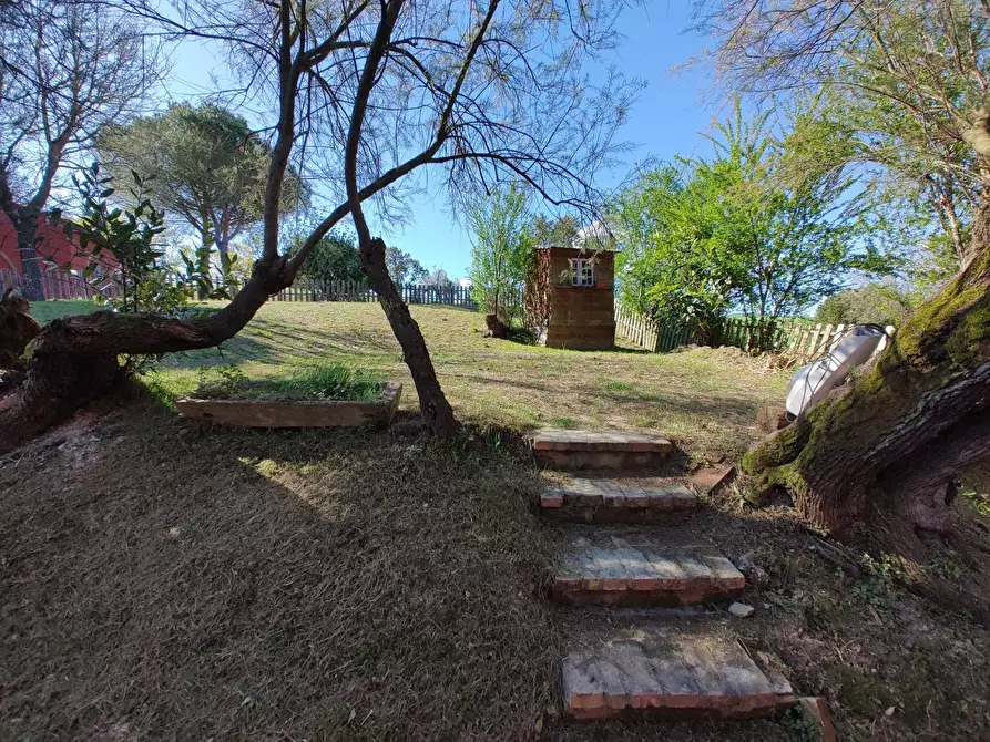 Immagine 26 di Appartamento in vendita  a Crespina Lorenzana