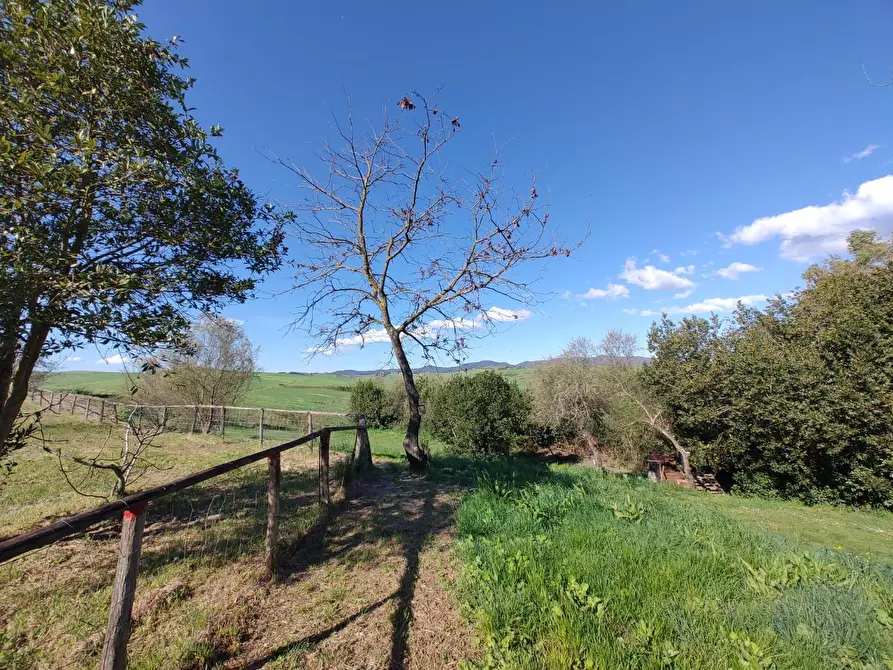 Immagine 29 di Appartamento in vendita  a Crespina Lorenzana