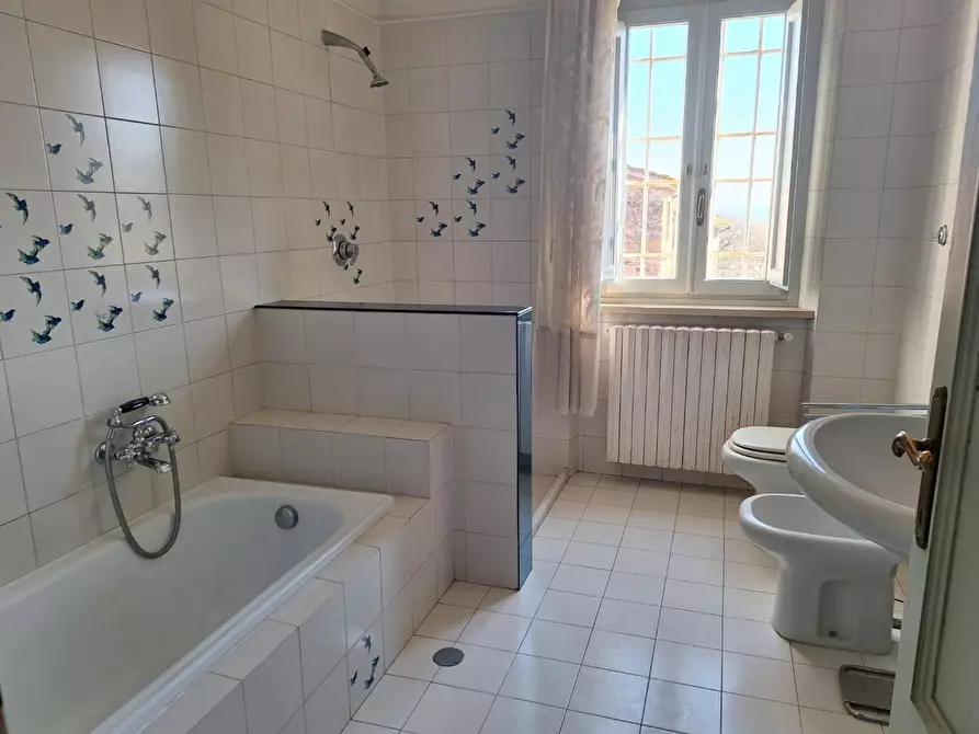 Immagine 18 di Terratetto in vendita  a Capannori