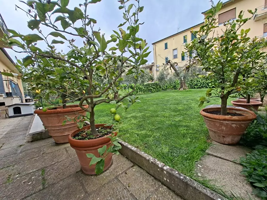 Immagine 37 di Villetta a schiera in vendita  a Capannoli