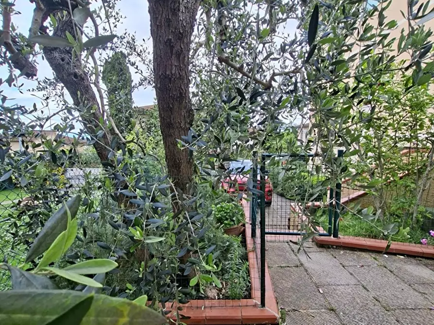 Immagine 39 di Villetta a schiera in vendita  a Capannoli