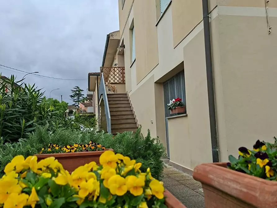 Immagine 34 di Villetta a schiera in vendita  a Capannoli