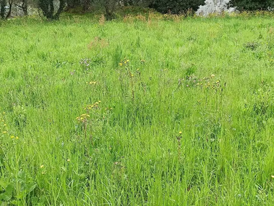 Immagine 2 di Rustico / casale in vendita  a Lucca