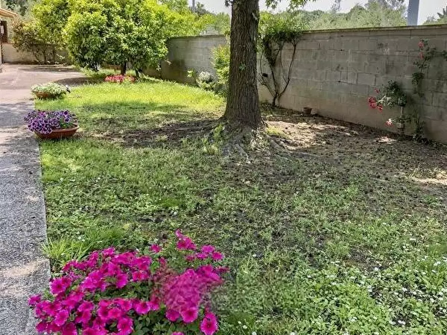 Immagine 15 di Rustico / casale in vendita  a San Giuliano Terme