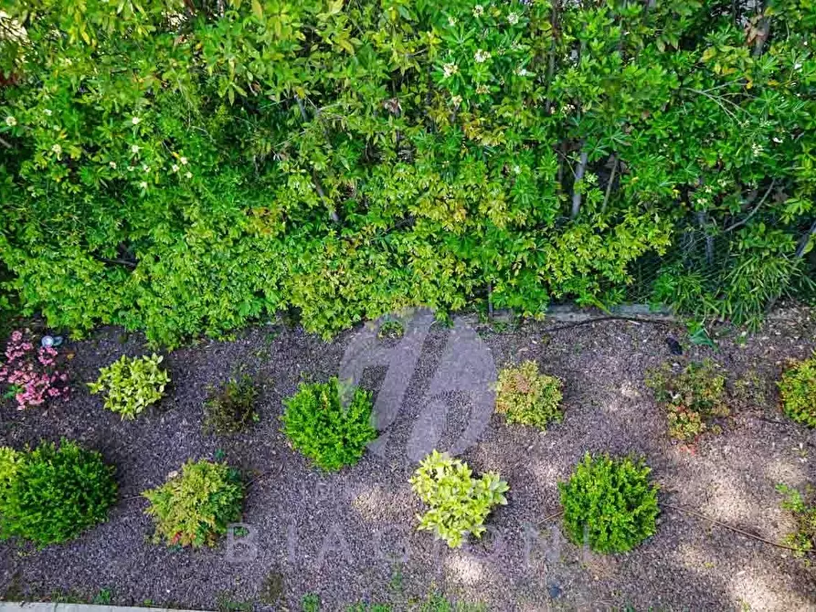 Immagine 26 di Casa indipendente in vendita  a Forte Dei Marmi
