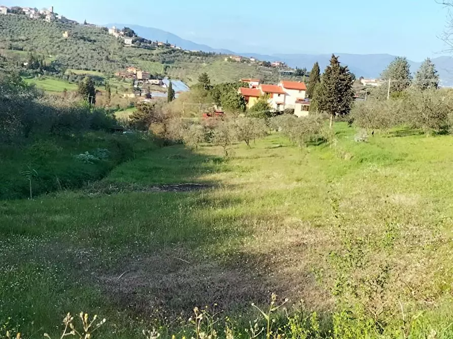 Immagine 4 di Terreno agricolo in vendita  a Carmignano