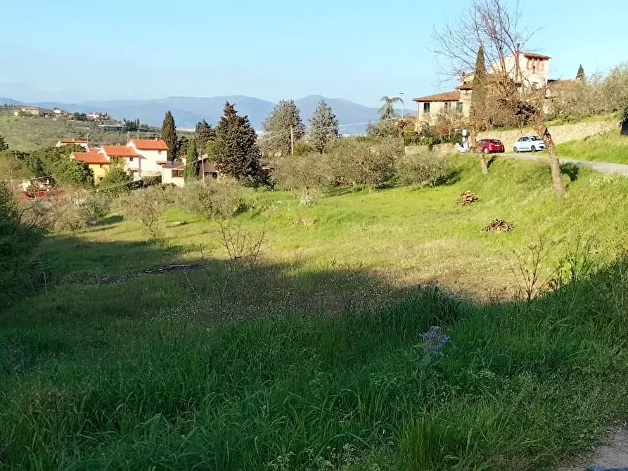 Immagine 14 di Terreno agricolo in vendita  a Carmignano