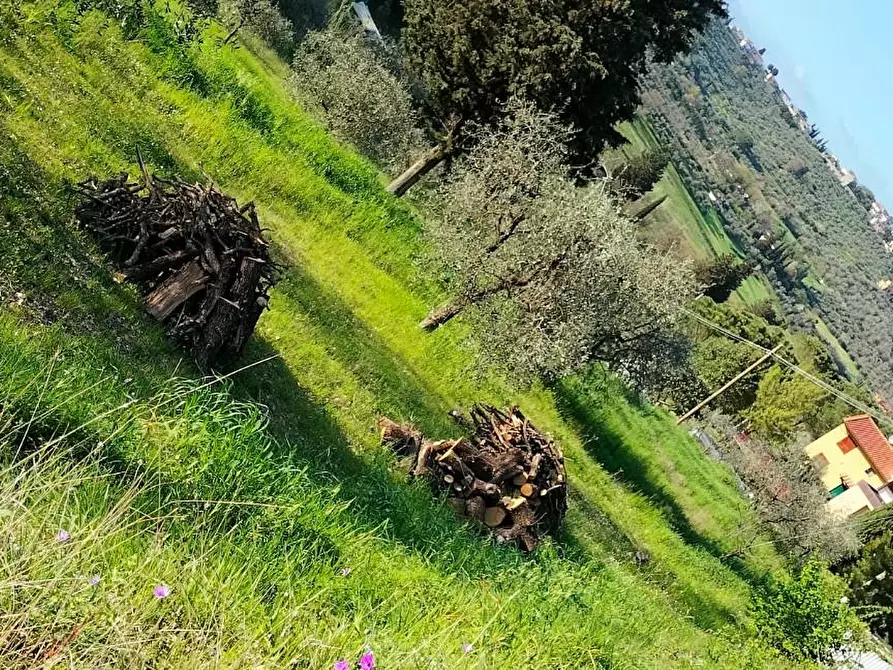 Immagine 2 di Terreno agricolo in vendita  a Carmignano