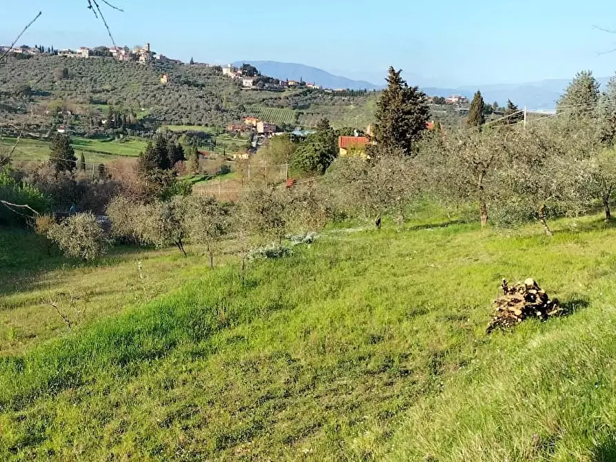 Immagine 15 di Terreno agricolo in vendita  a Carmignano