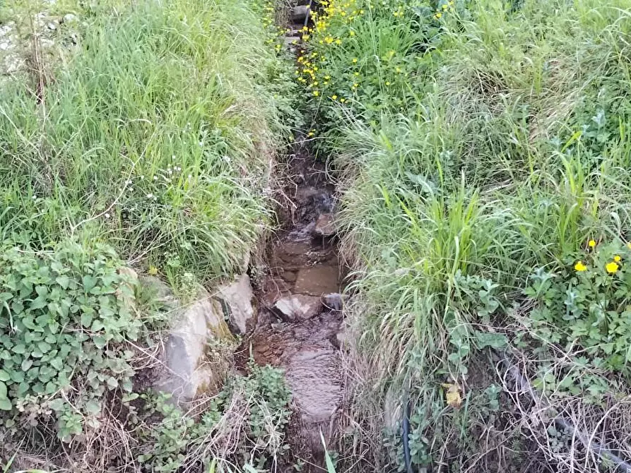 Immagine 13 di Terreno agricolo in vendita  a Carmignano