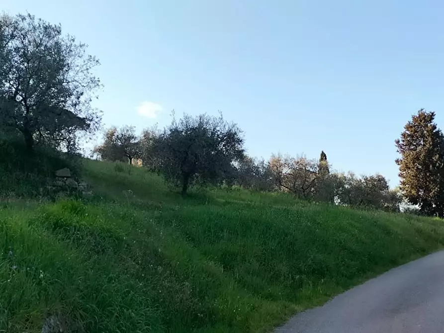 Immagine 9 di Terreno agricolo in vendita  a Carmignano