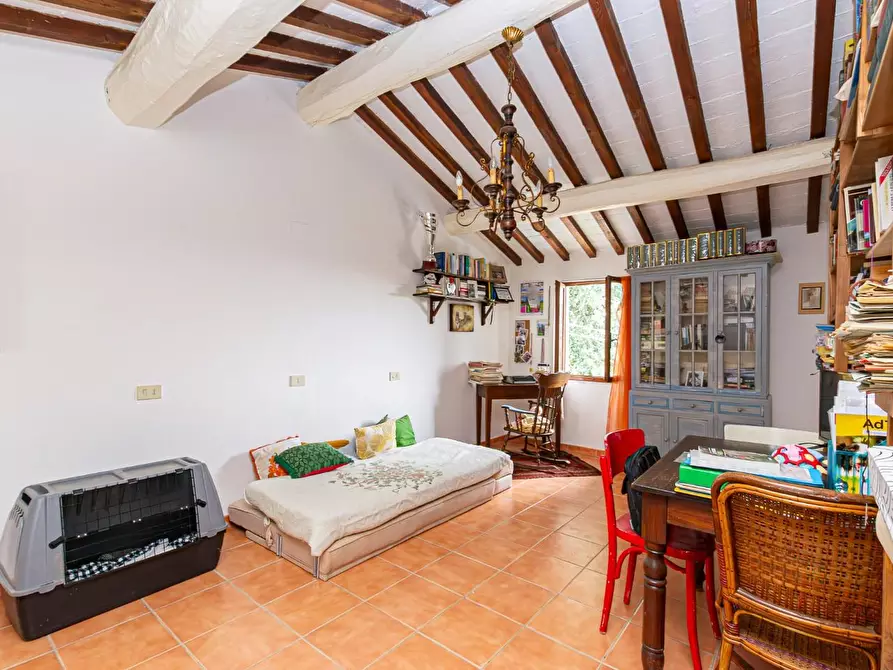 Immagine 32 di Terratetto in vendita  a Pontedera