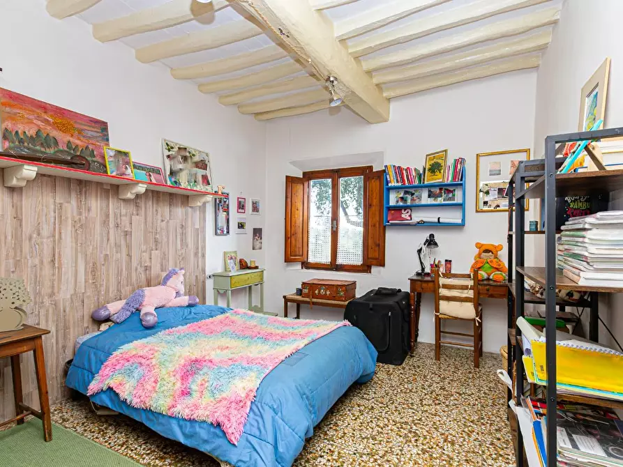 Immagine 24 di Terratetto in vendita  a Pontedera