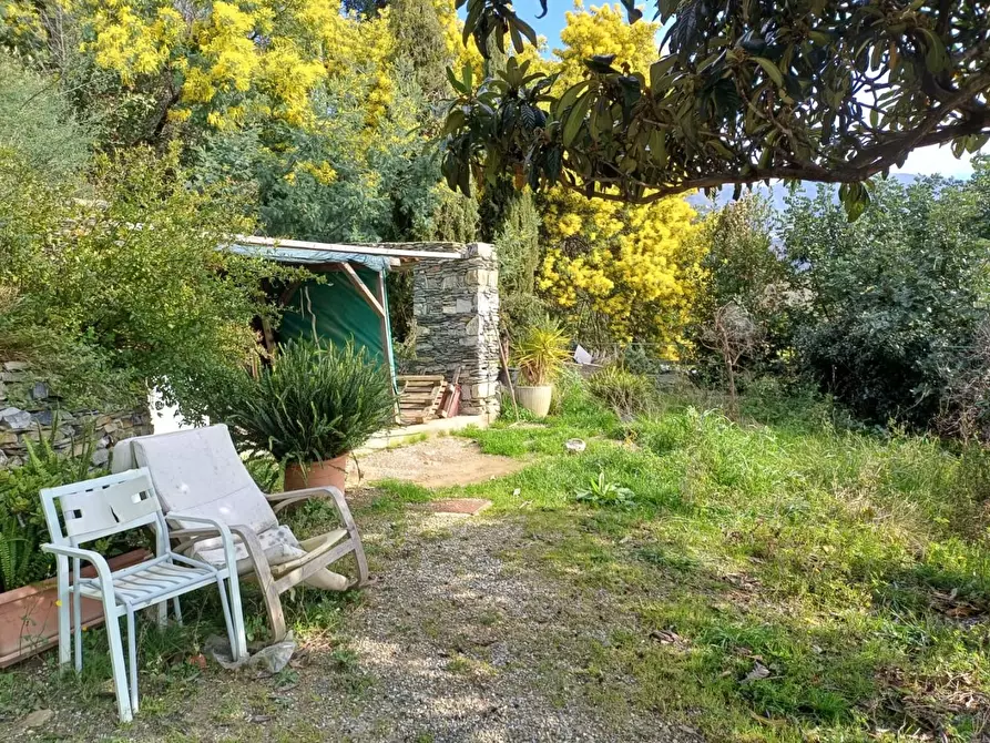 Immagine 6 di Appartamento in vendita  a Lavagna