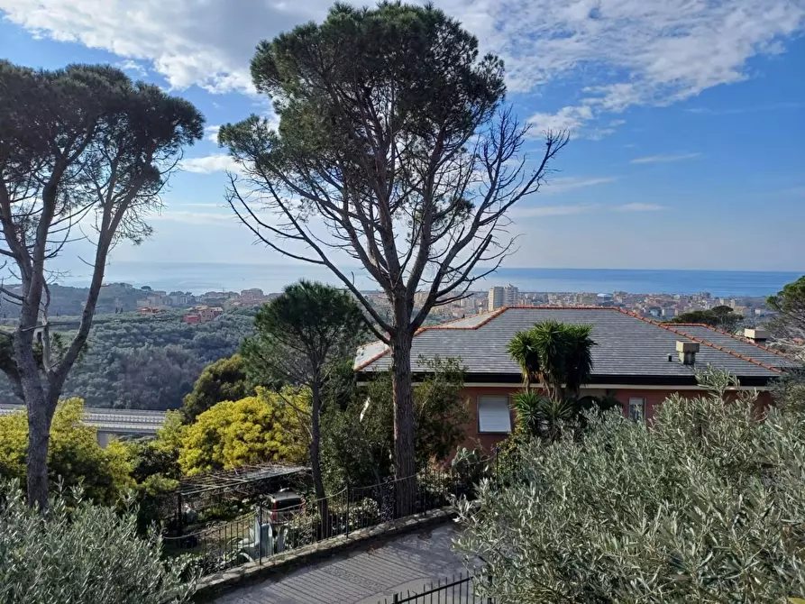 Immagine 4 di Appartamento in vendita  a Lavagna