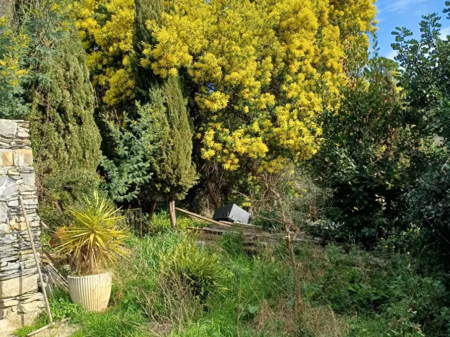 Immagine 5 di Appartamento in vendita  a Lavagna