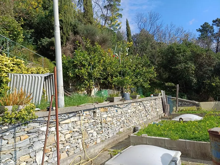 Immagine 9 di Appartamento in vendita  a Lavagna