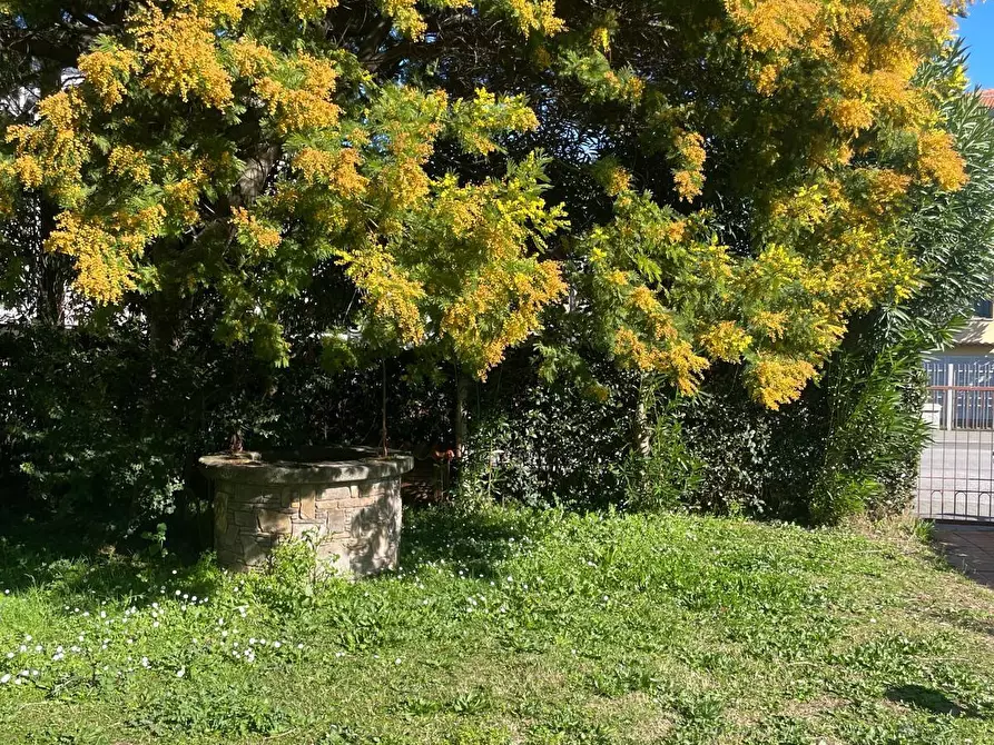 Immagine 7 di Appartamento in vendita  a Pisa