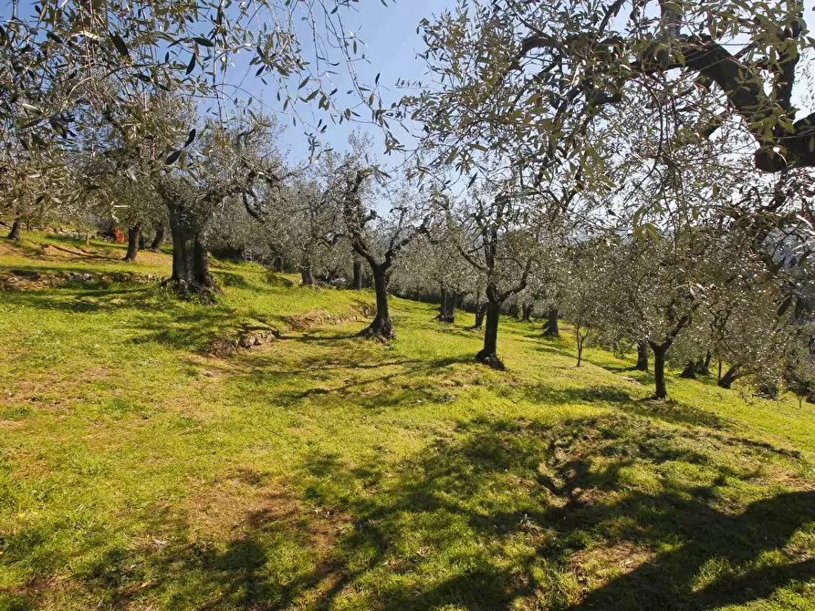 Immagine 29 di Villa in vendita  a Vinci