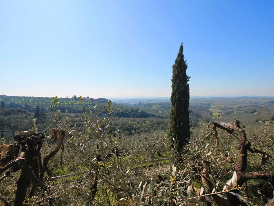 Immagine 18 di Villa in vendita  a Vinci