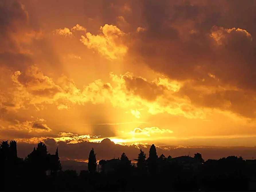 Immagine 36 di Villa in vendita  a Vinci