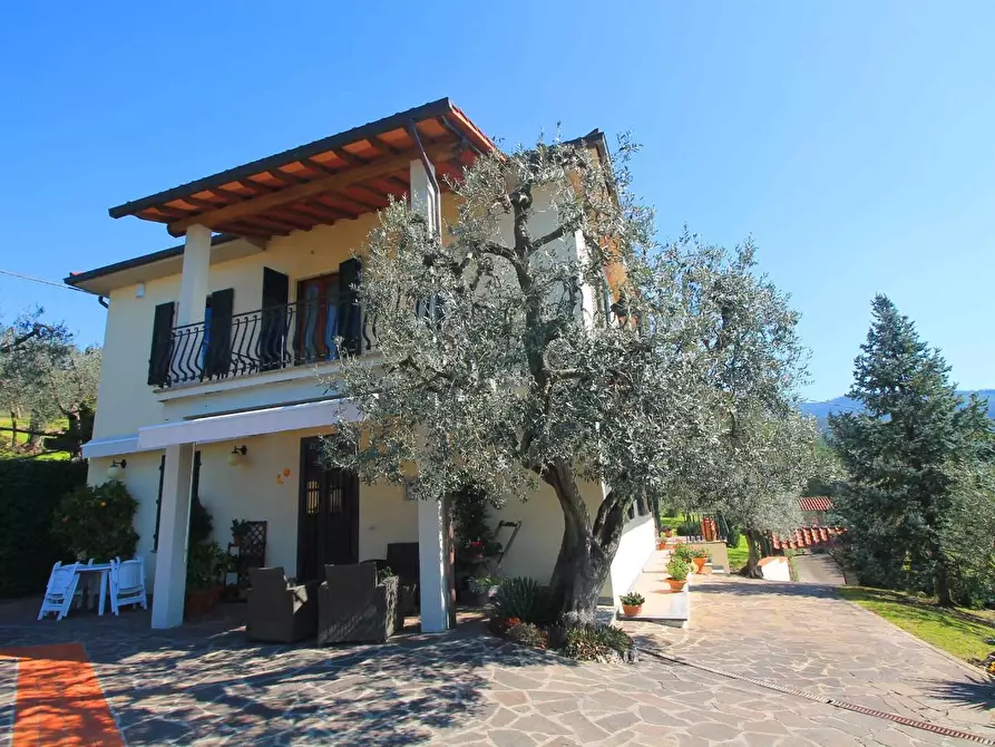 Immagine 4 di Villa in vendita  a Vinci