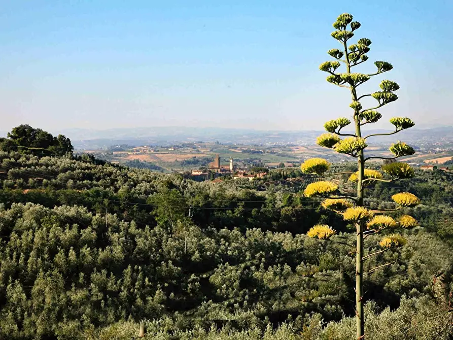 Immagine 35 di Villa in vendita  a Vinci