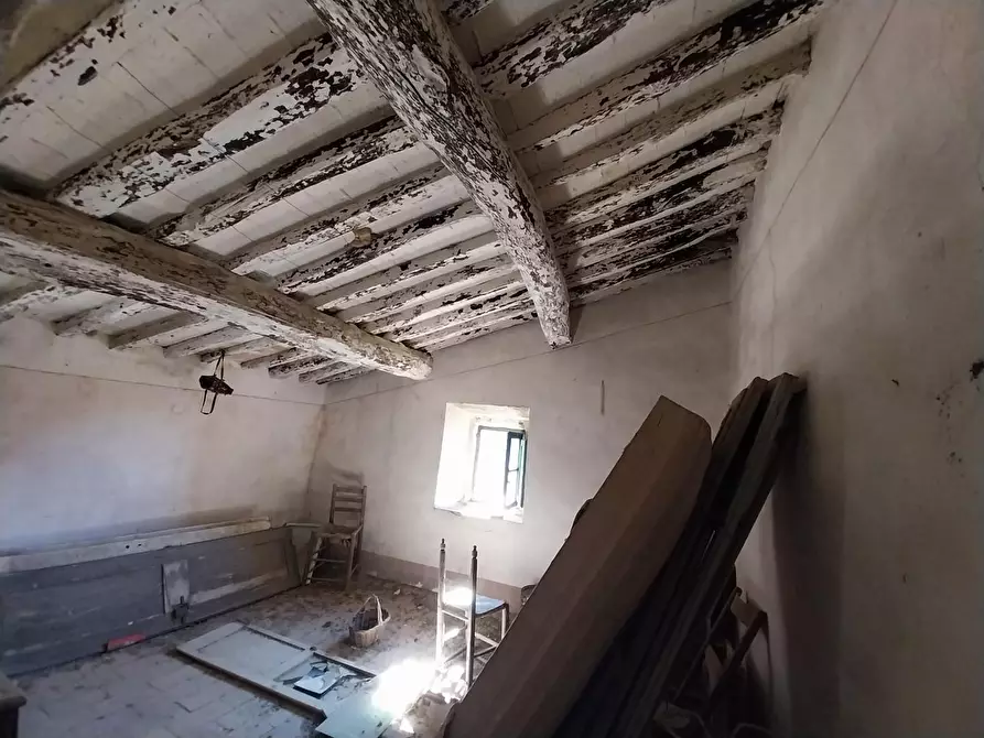 Immagine 23 di Casa indipendente in vendita  a Calci