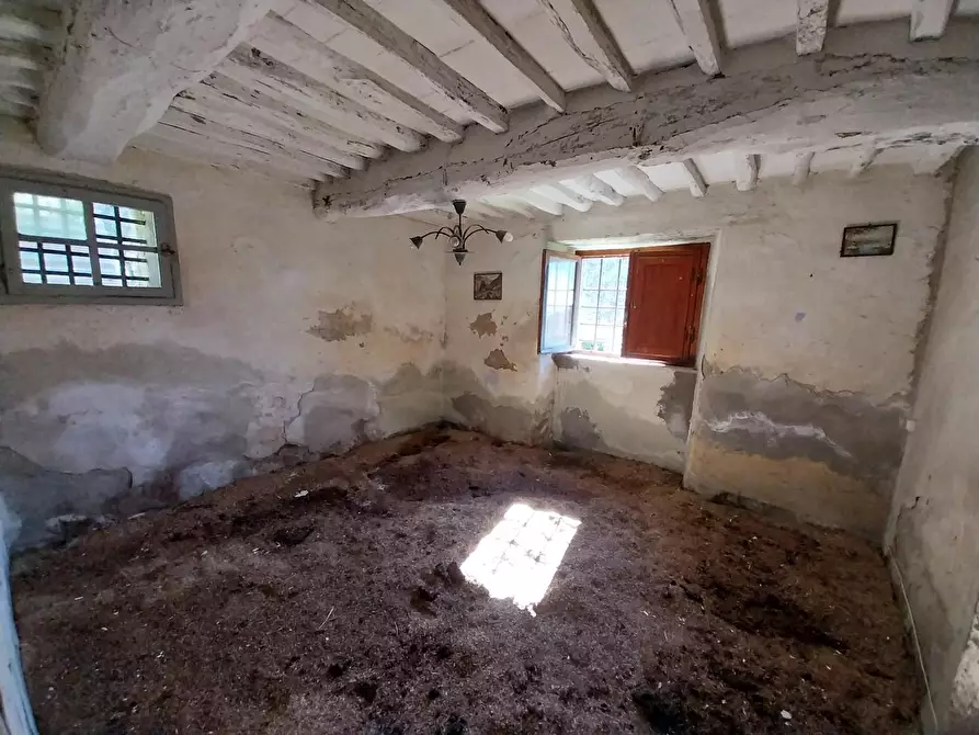 Immagine 16 di Casa indipendente in vendita  a Calci