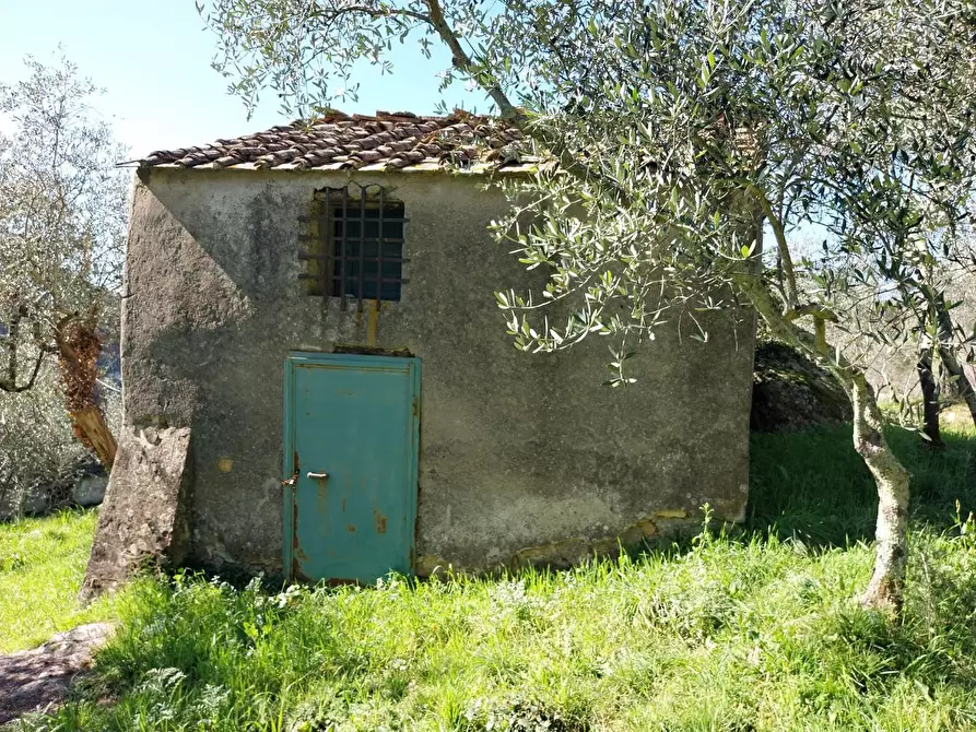 Immagine 5 di Casa indipendente in vendita  a Calci