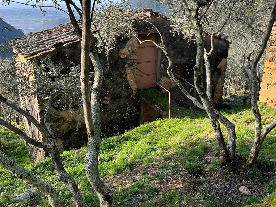 Immagine 8 di Casa indipendente in vendita  a Calci