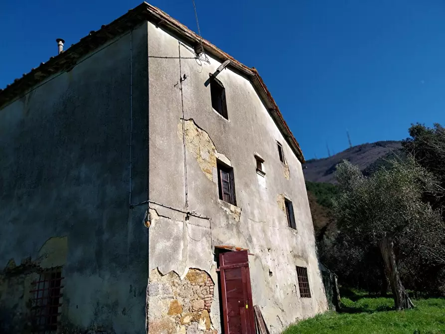 Immagine 1 di Casa indipendente in vendita  a Calci