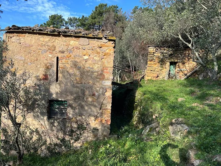 Immagine 6 di Casa indipendente in vendita  a Calci