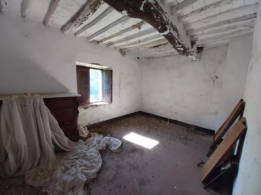 Immagine 19 di Casa indipendente in vendita  a Calci