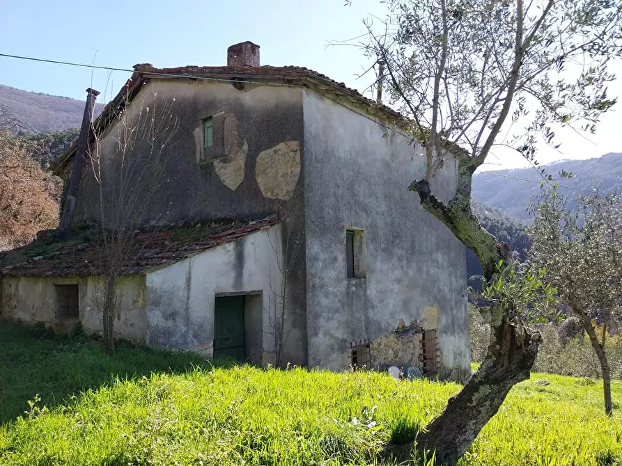 Immagine 3 di Casa indipendente in vendita  a Calci