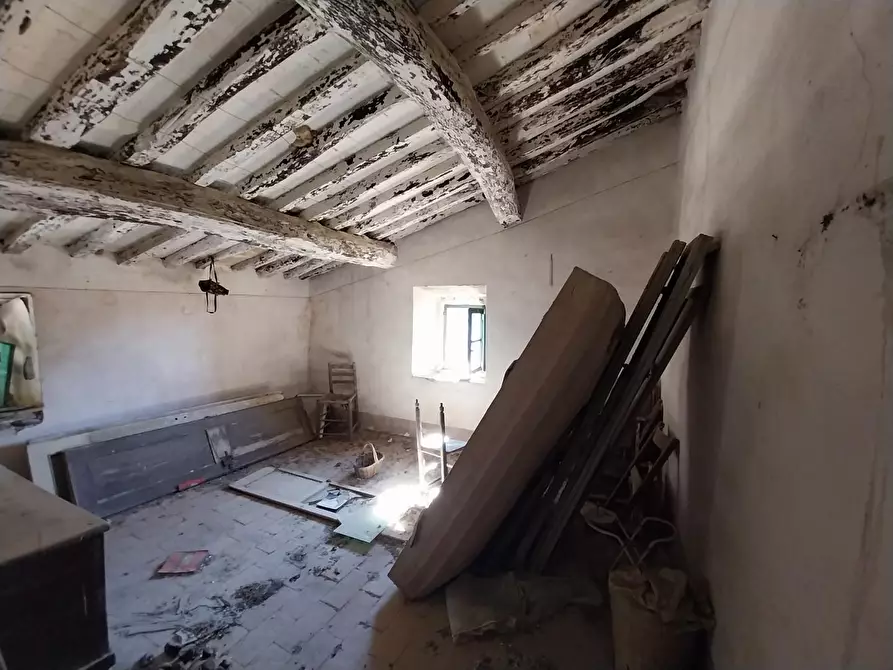 Immagine 22 di Casa indipendente in vendita  a Calci