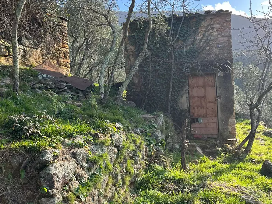 Immagine 9 di Casa indipendente in vendita  a Calci