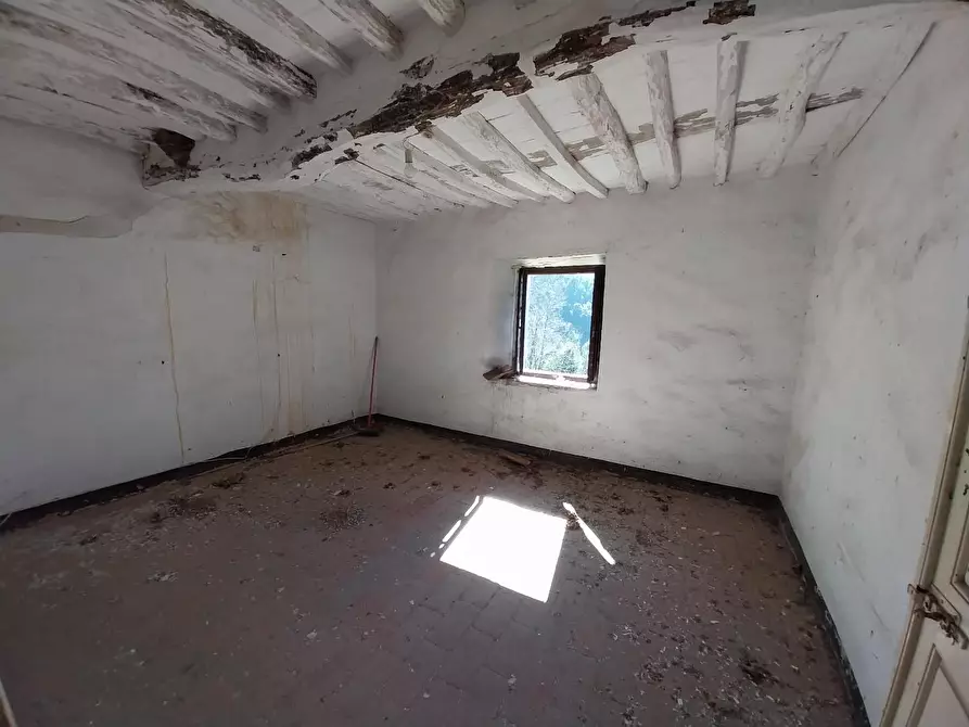 Immagine 18 di Casa indipendente in vendita  a Calci