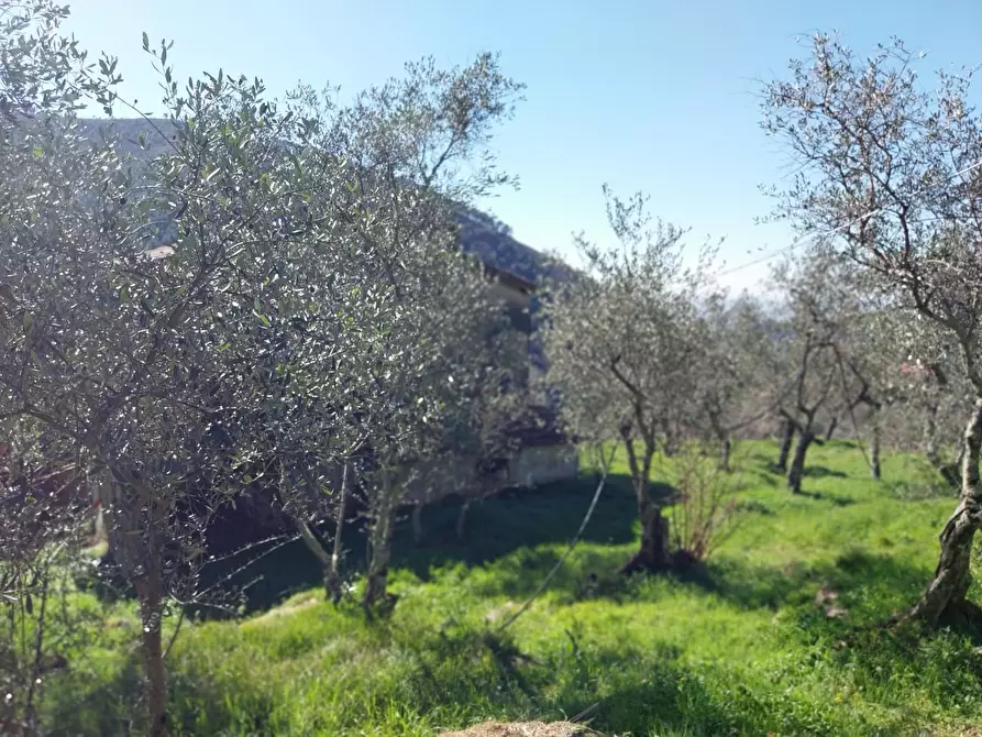 Immagine 4 di Casa indipendente in vendita  a Calci