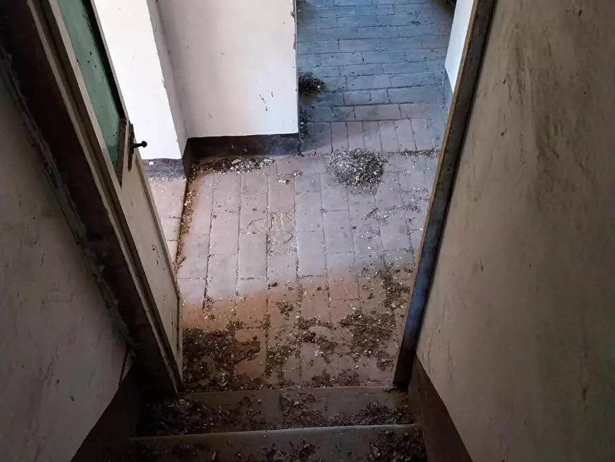 Immagine 25 di Casa indipendente in vendita  a Calci