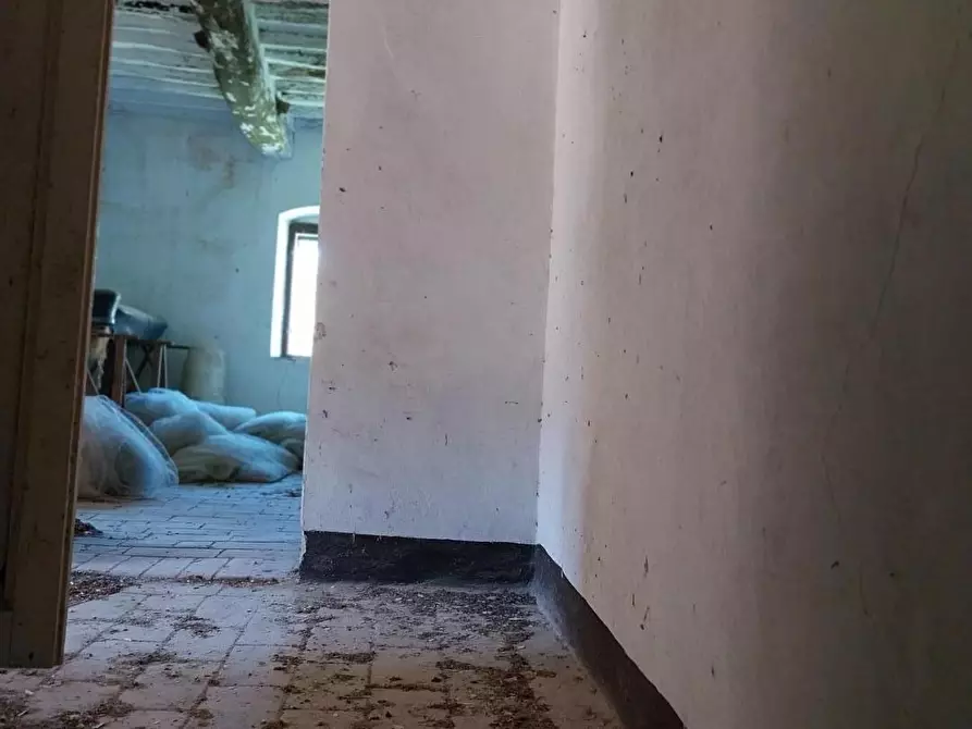 Immagine 27 di Casa indipendente in vendita  a Calci