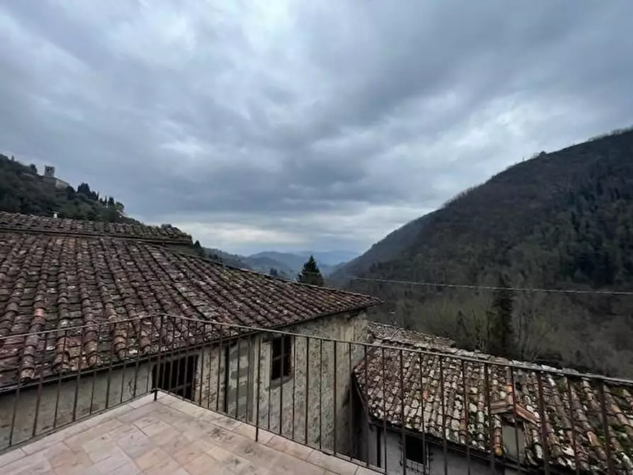 Immagine 59 di Villa in vendita  a Borgo A Mozzano