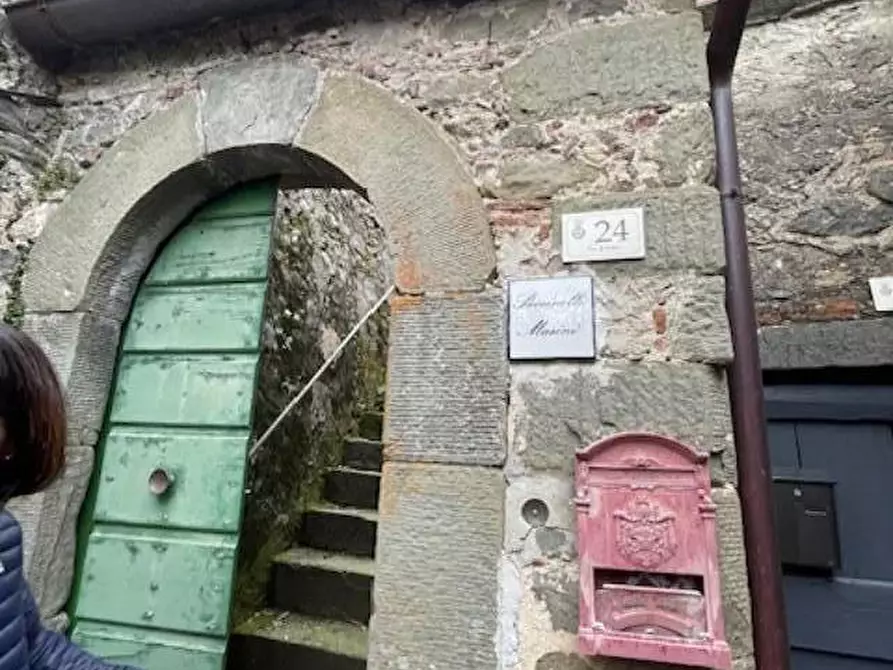 Immagine 48 di Villa in vendita  a Borgo A Mozzano