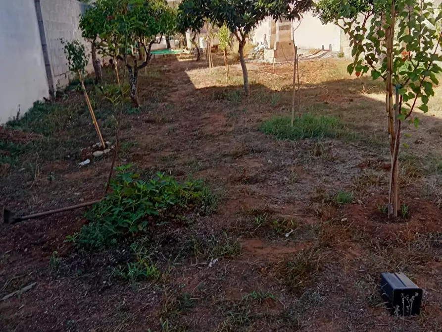 Immagine 8 di Terreno residenziale in vendita  a Cavallino